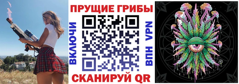 Галлюциногенные грибы мицелий  продажа наркотиков  Моздок 